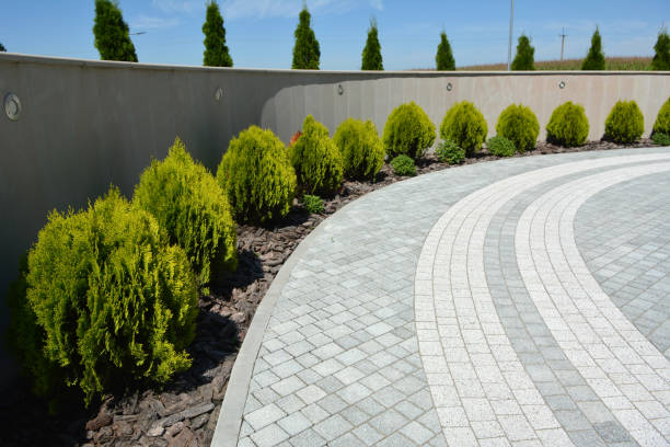 Best Driveway Paving Contractor  in Felida, WA